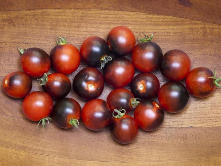 อินดิโก้ เชอร์รี่ ดรอปส์