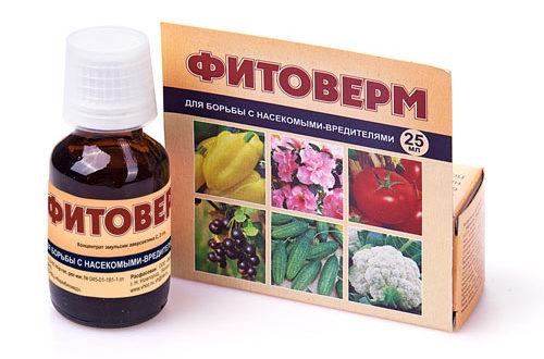 ยาฟิโตเวอร์ม