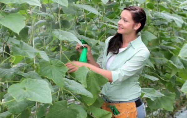 Combattre les maladies