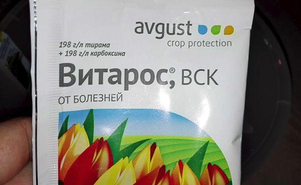 Le médicament Vitaros