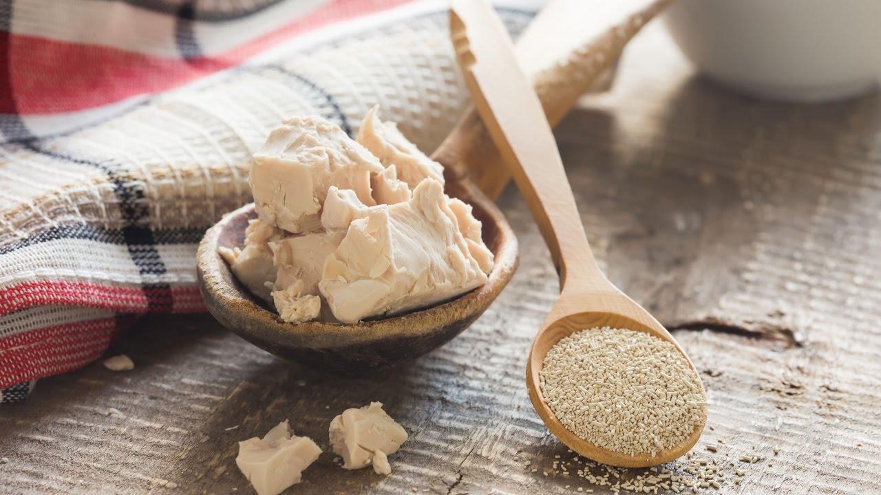 ยีสต์แห้ง