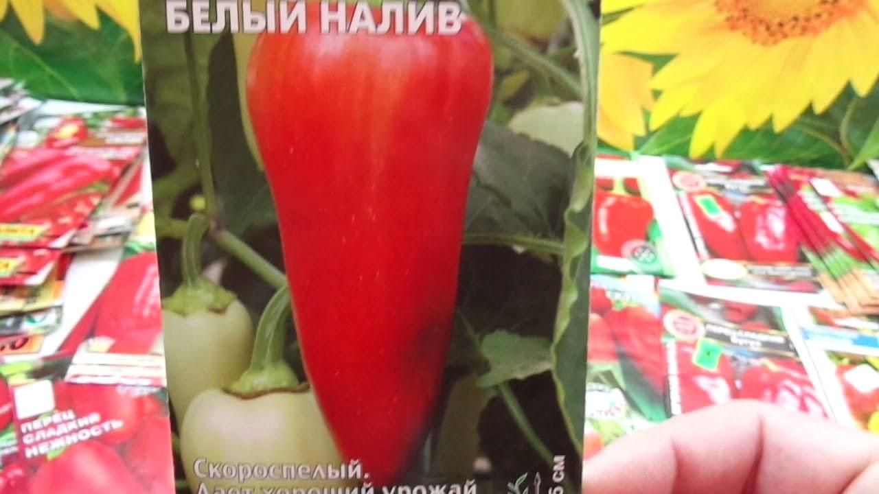 ไส้สีขาว