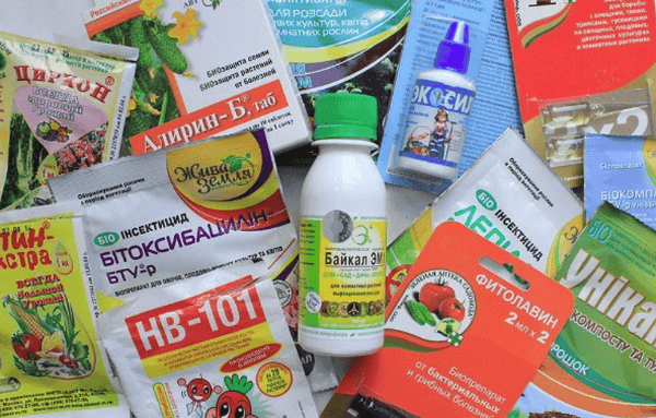 กลุ่มของสารฆ่าเชื้อรา