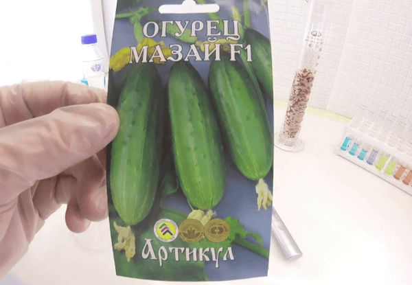 F1 ไฮบริด มาไซ