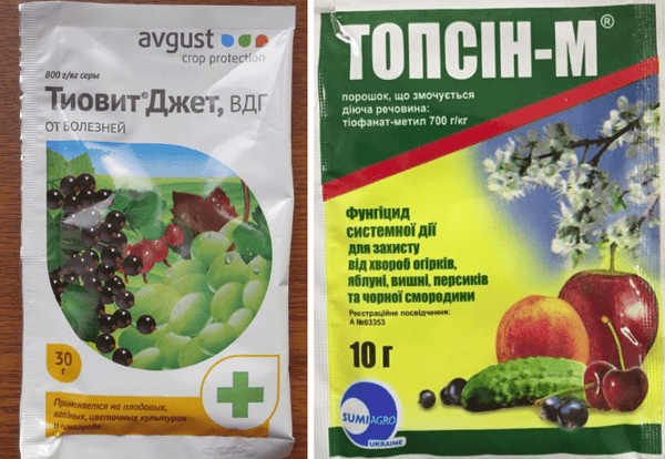 สารเคมีป้องกันเชื้อรา