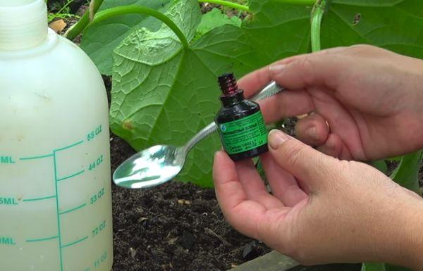 การเตรียมเวย์