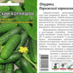 ลักษณะของแตงกวา