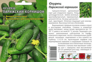 ลักษณะและคำอธิบายของแตงกวาพันธุ์ Parisian Gherkin การเพาะปลูก