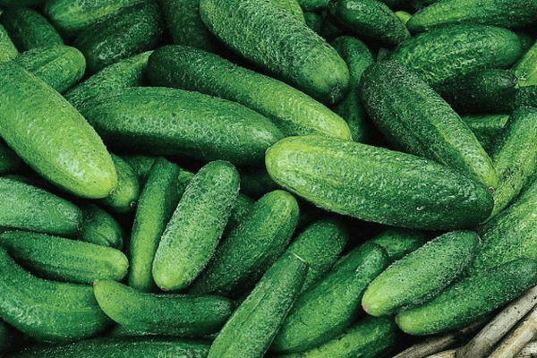 แตงกวาสุก