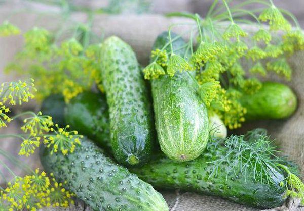 แตงกวาสุก