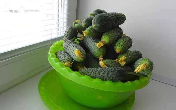 ชามแตงกวา