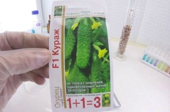 ความกล้าหาญแบบไฮบริด