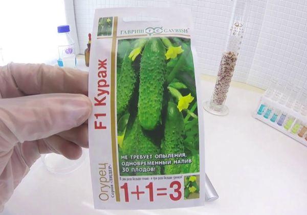 ความกล้าหาญแบบไฮบริด