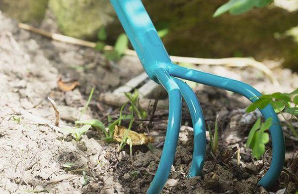 การคลายดิน