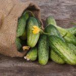 ถุงแตงกวา