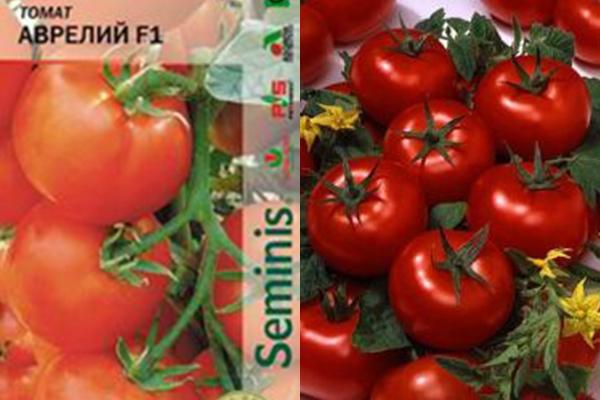 มะเขือเทศออเรลิอัส