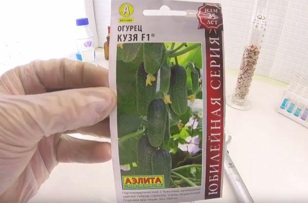 แตงกวาคูซย่า F1