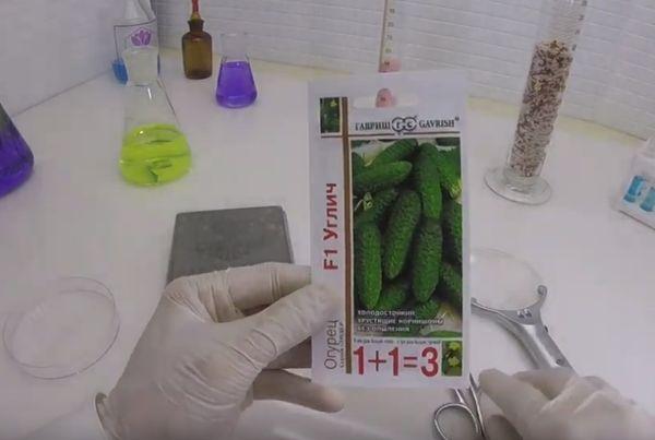 แตงกวาอุกลิช