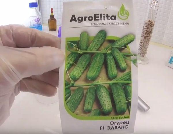 แตงกวาแอดวานซ์