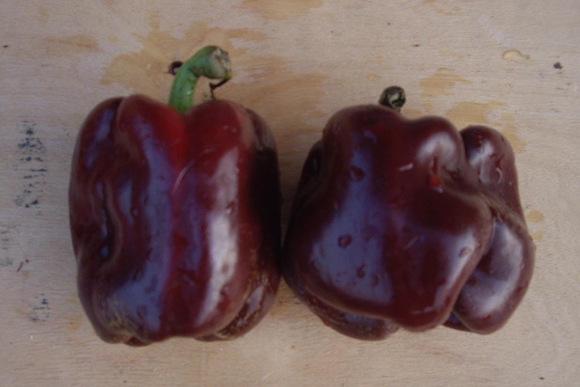 ช็อคโกแลตหวาน