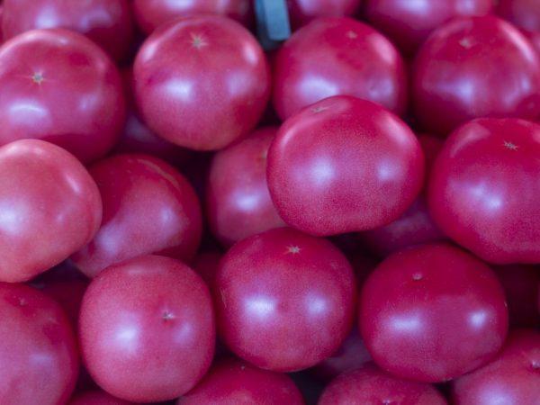 tomate Pink Paradise F1