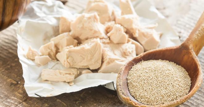 ยีสต์แห้งและดิบ