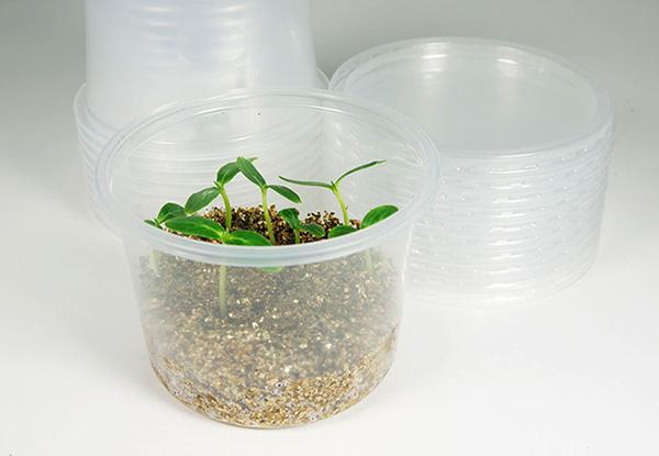 การปลูกในเวอร์มิคูไลต์