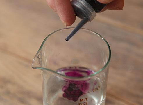 Que faire si les plants de tomates ont des pattes noires ?