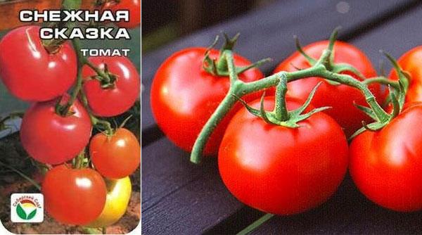 Conte de fées de neige