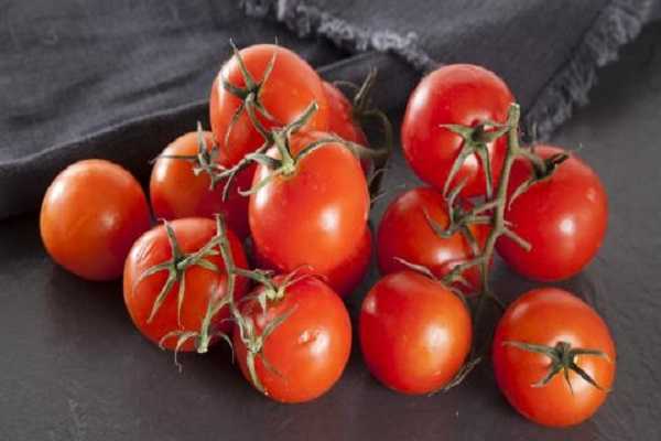 มะเขือเทศเชอร์รี่