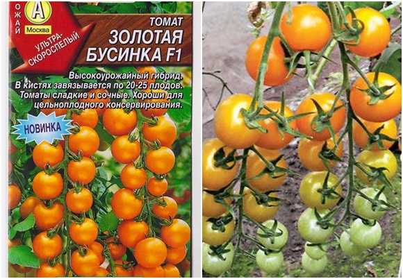 ลูกปัดทอง F1