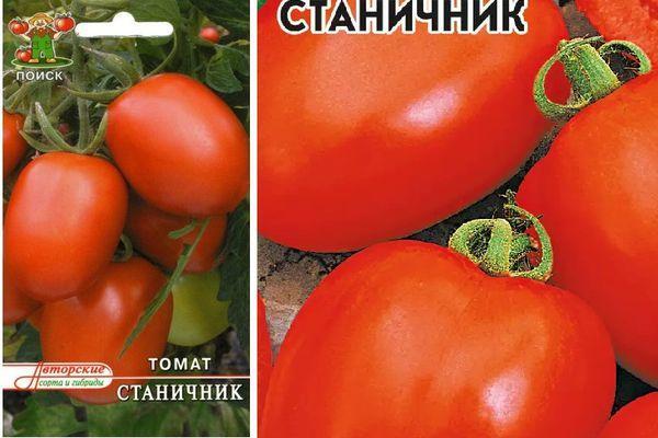 Tomates Stanichnik