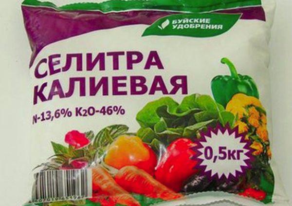 ประโยชน์ ประเภท และการใช้ปุ๋ยโพแทสเซียมสำหรับแตงกวา วิธีการใส่ปุ๋ย