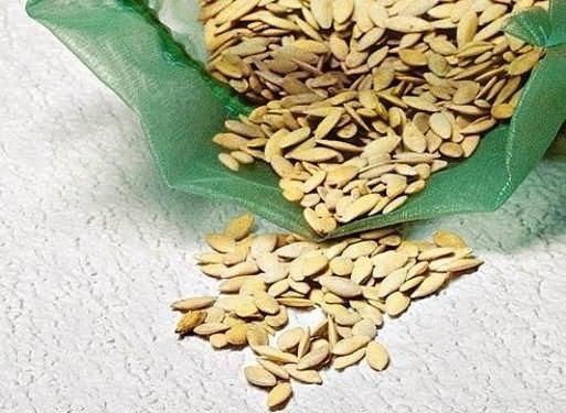 เมล็ดที่งอกแล้ว