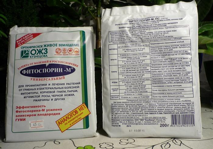 การเตรียมแตงกวา