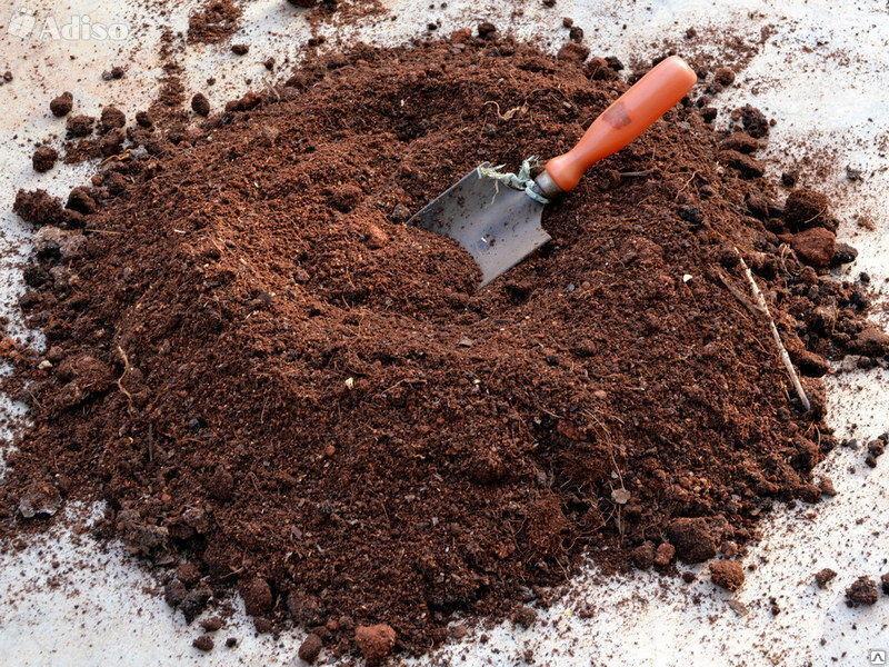 พีทเป็นปุ๋ย