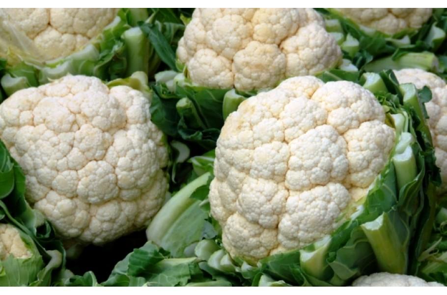 วิธีปลูกกะหล่ำดอกในพื้นที่โล่ง