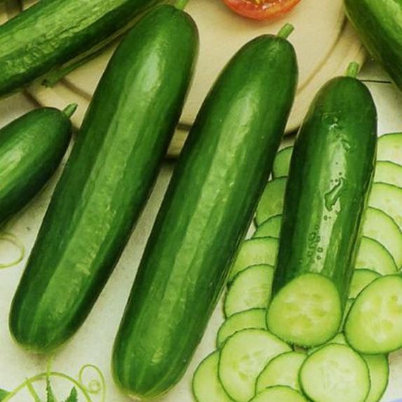 มอสโคว์สลัด F1