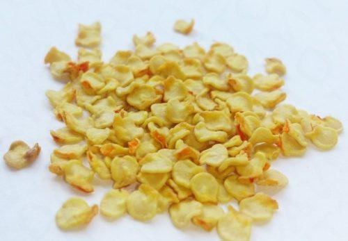 เมล็ดพริก