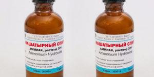 เป็นไปได้ไหมที่จะเลี้ยงพริกด้วยแอมโมเนียและกฎเกณฑ์ในการแปรรูป?