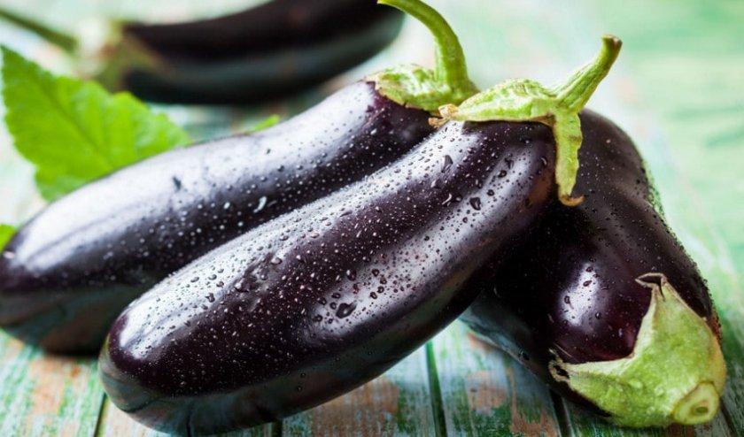 มะเขือม่วงเวร่า