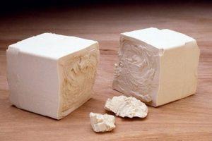 กฎสำหรับการให้อาหารกะหล่ำปลีด้วยยีสต์ในพื้นที่เปิดโล่งและสูตรปุ๋ยที่ดีที่สุด