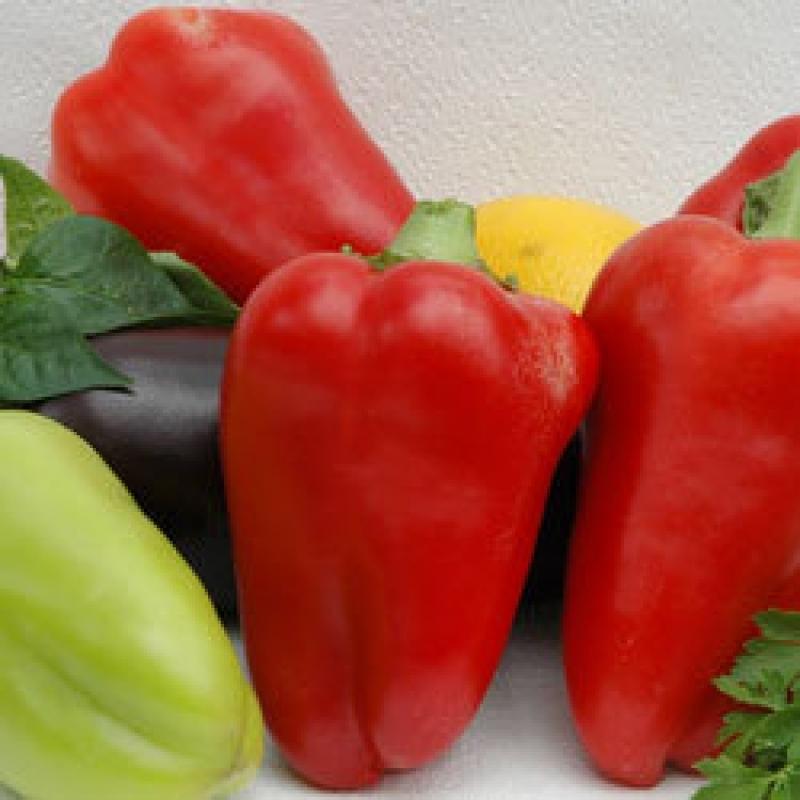 พริกไทยอาร์เซนอล