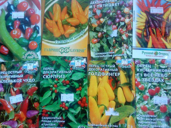 พริกประดับ