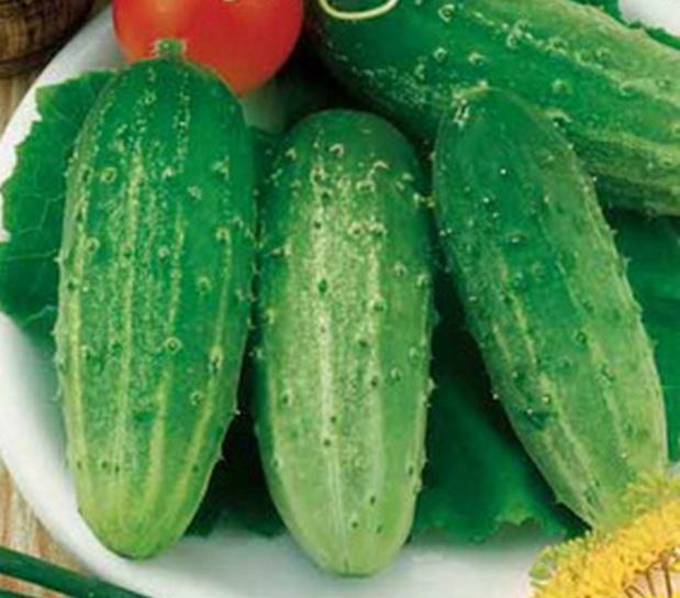 แตงกวาเจ้าหญิง