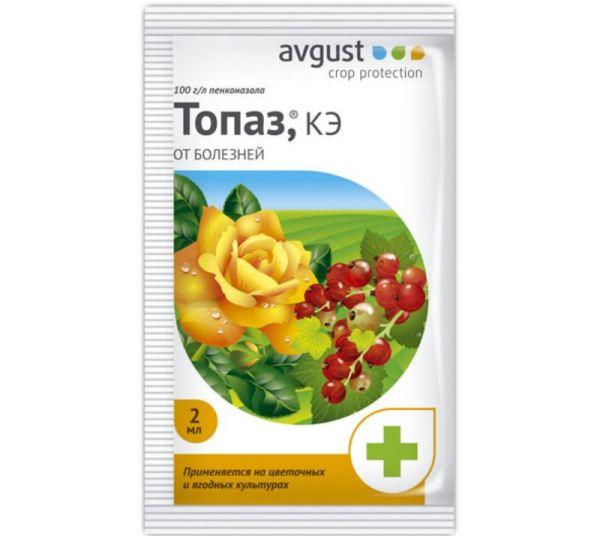 ยา "โทแพซ"