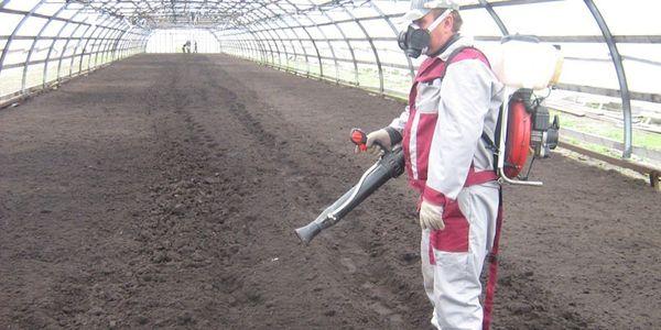 การบำบัดเรือนกระจก