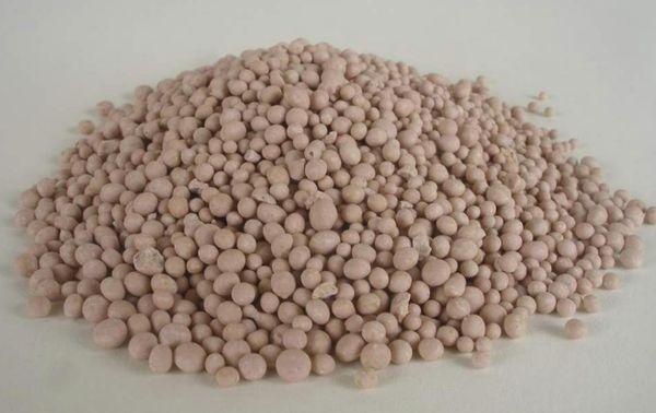 ซุปเปอร์ฟอสเฟตสำหรับแตงกวา