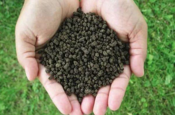 ซุปเปอร์ฟอสเฟตสองชั้น