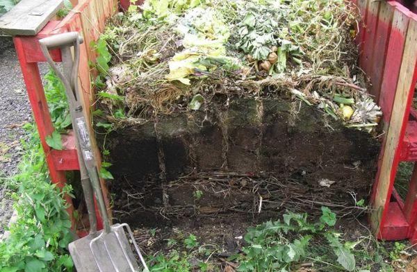 ปุ๋ยหมักสำหรับแตงกวา